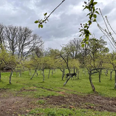 Ξενοδοχείο Pazo Da Pena