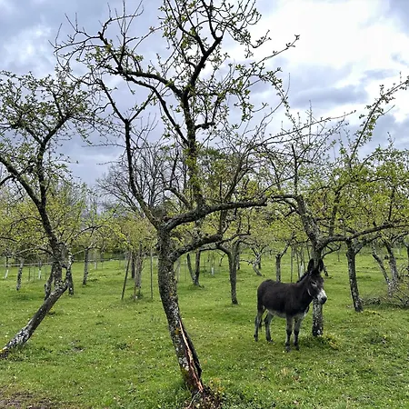 Ξενοδοχείο Pazo Da Pena 3*
