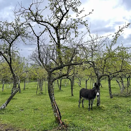 Pazo Da Pena Manzaneda (Ourense)