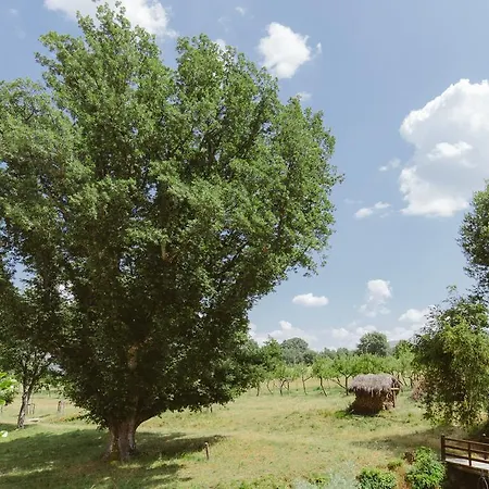 Ξενοδοχείο Pazo Da Pena Manzaneda (Ourense)