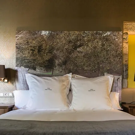 Pazo Da Pena Manzaneda (Ourense)