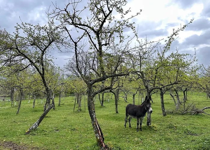 Hotel Pazo Da Pena 3*