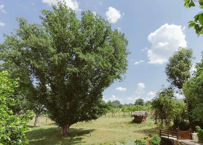 Hotel Pazo Da Pena Manzaneda (Ourense)