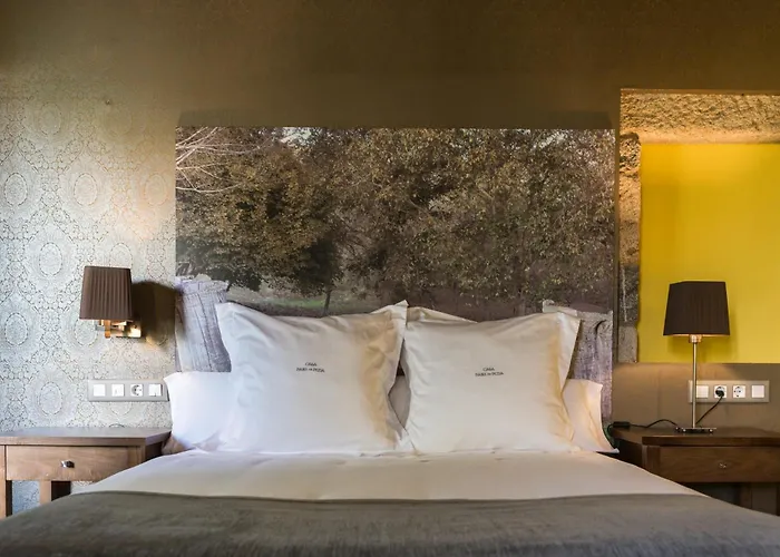 Pazo Da Pena Manzaneda (Ourense)